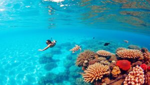 Jelajahi Keindahan Wisata Laut Pulau Mabul